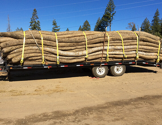 tules for stormwater management on a truck