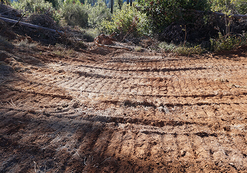 vegetation planning